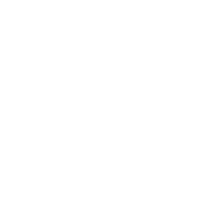 Digital Presence