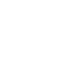 Professional Photography & Videography