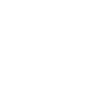 Institutional-Quality Marketing Materials